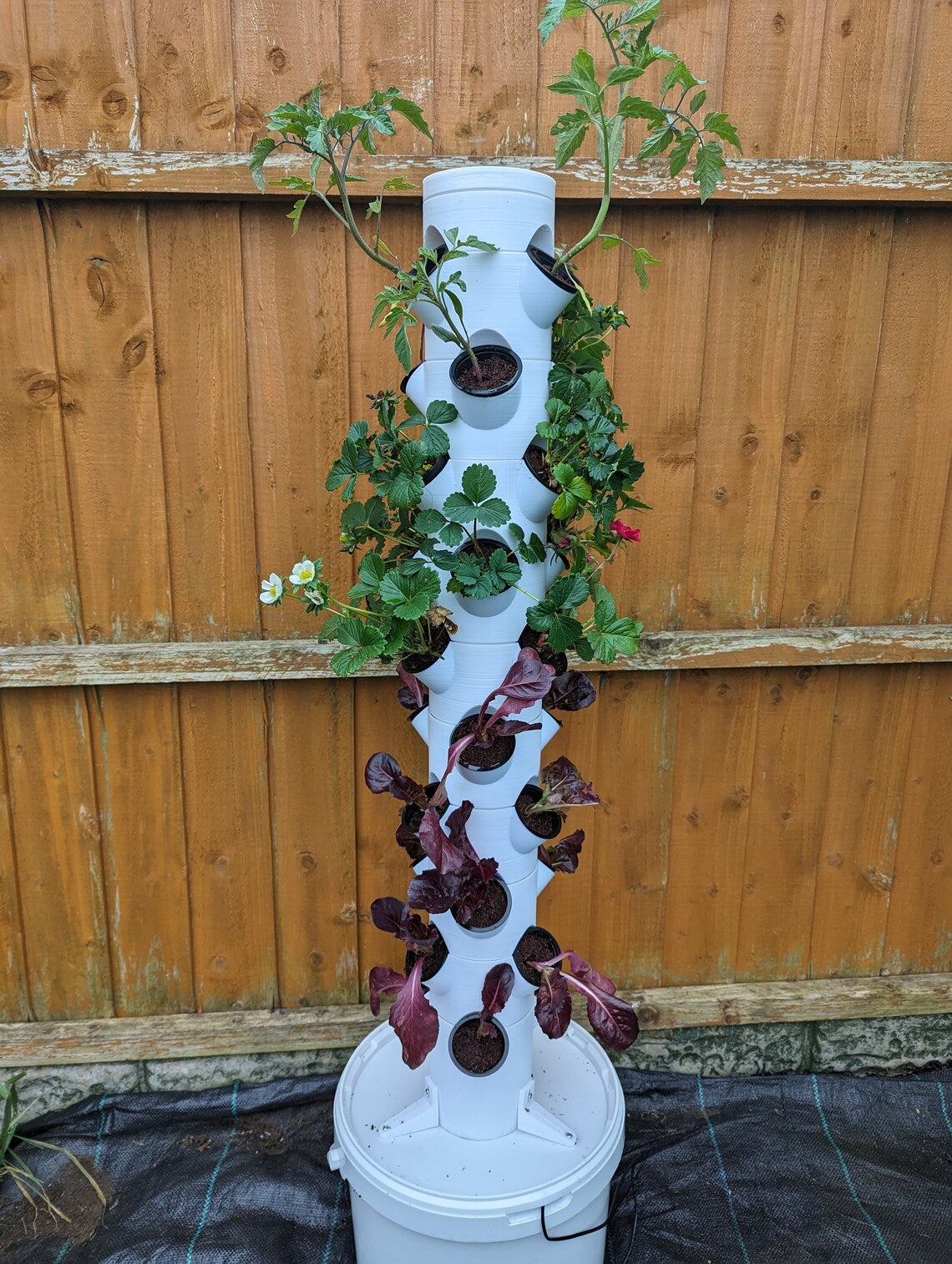 Hydroponic Tower Basic Kit - 30 Plant Capacity