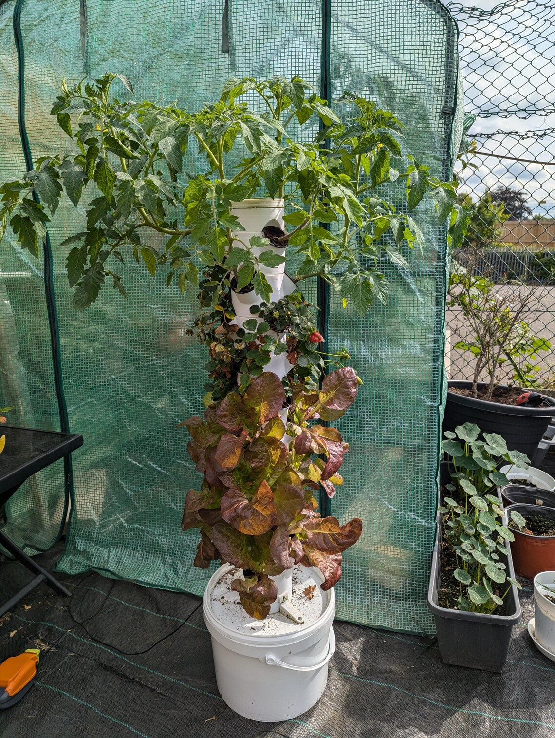 Hydroponic Tower Complete Set - 30 Plant Capacity