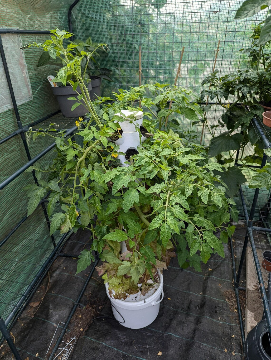 Hydroponic Tower Basic Kit - 30 Plant Capacity